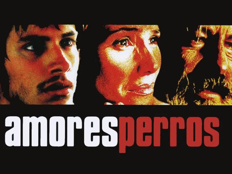 Amores Perros cumple 25 años con función histórica en Bellas Artes