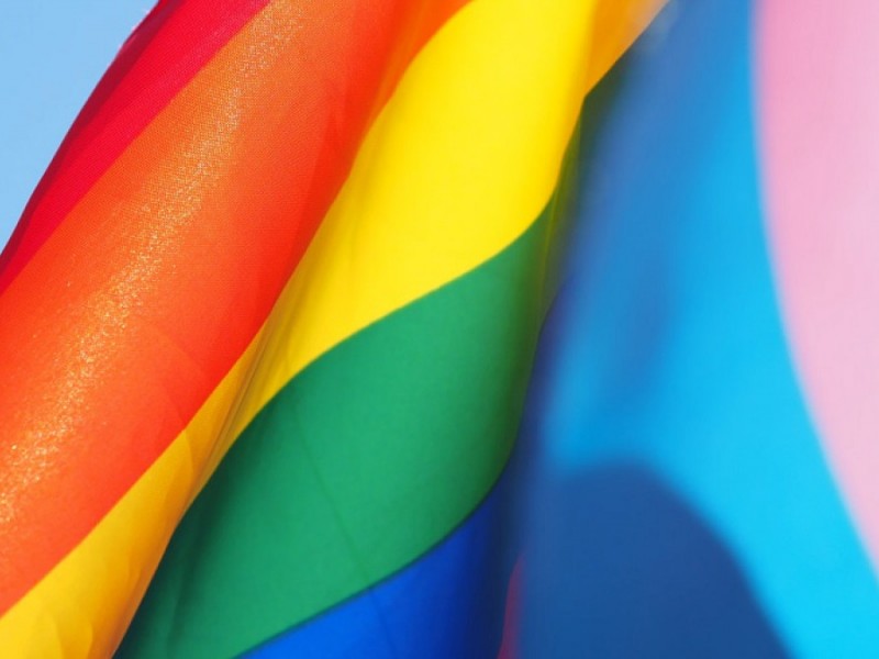 Amparos y luchas por derechos de la comunidad LGBT