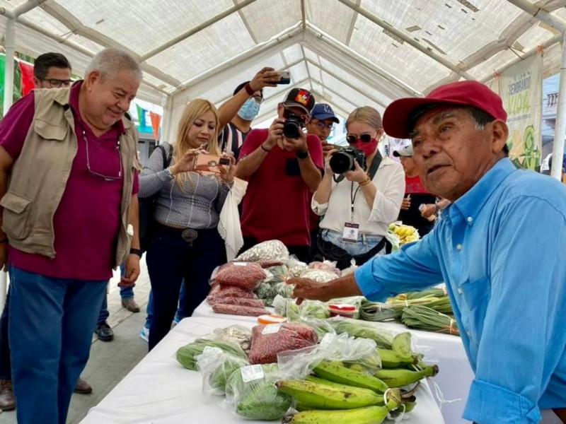 Ampliarán entrega de créditos Tandas para el Bienestar