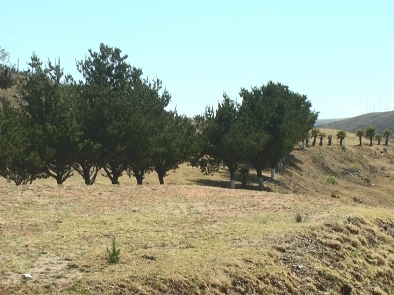 Ampliarán oferta de turismo de naturaleza en Zacatecas