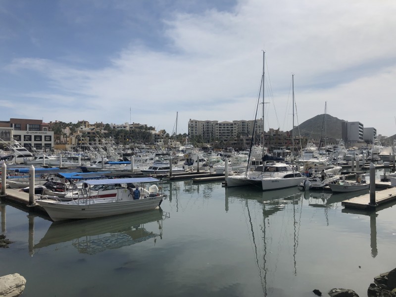 Analizan crear una ruta de crucero en Mar de Cortés