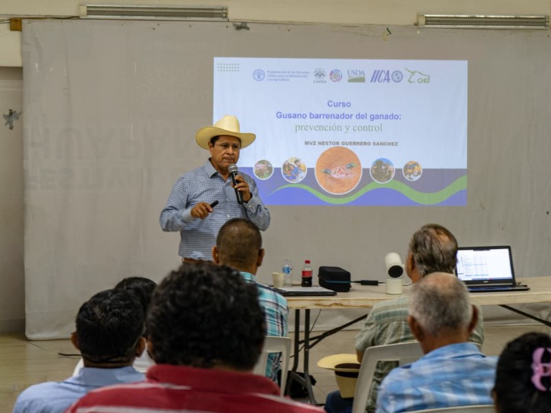 Analizan en Tuxpan retos ganaderos y estrategias contra Gusano Barrenador