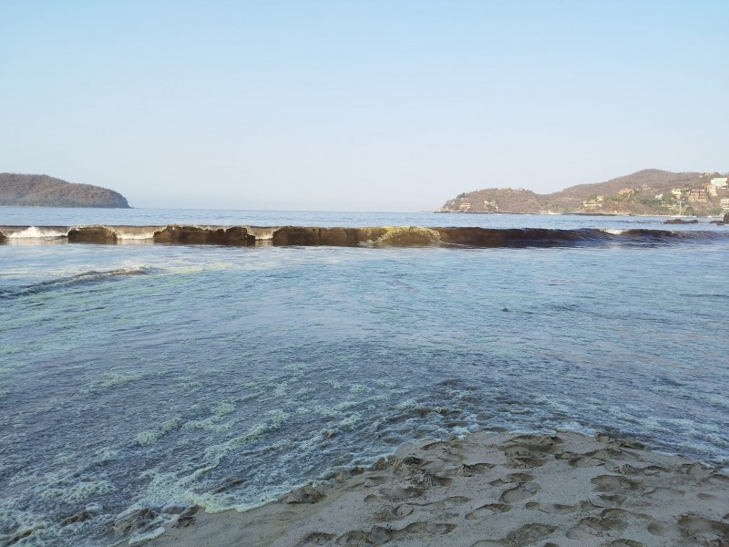 Analizan playas ante presunta marea roja de Zihuatanejo