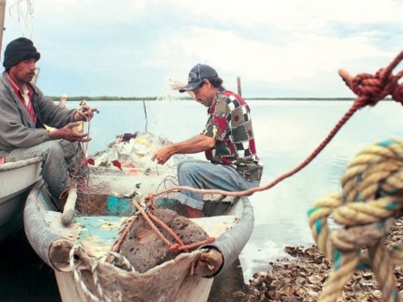 Analizarán reordenamiento territorial y rescate ecológico en Nayarit