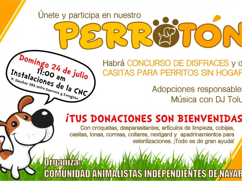 Animalistas independientes invitan a donar al 