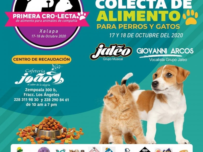 Animalistas invitan a colecta de alimento para perros y gatos