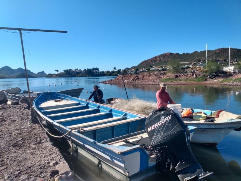 Año difícil para el sector pesca