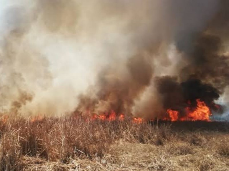 Ante aumento de incendios de pastizales, promueven quemas controladas