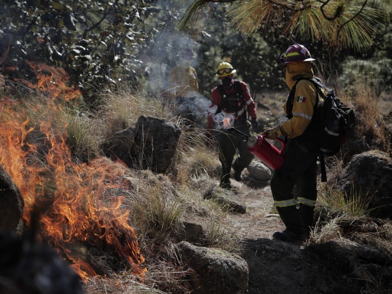 Ante aumento de incendios forestales, arrancan en Jalisco acciones preventivas