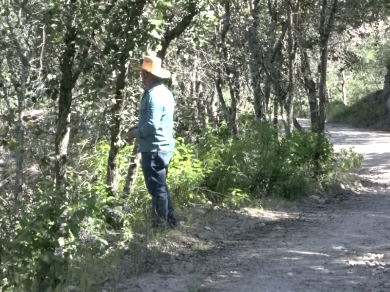 Ante calor, prevén incendios forestales en Sierra de Santa Rosa