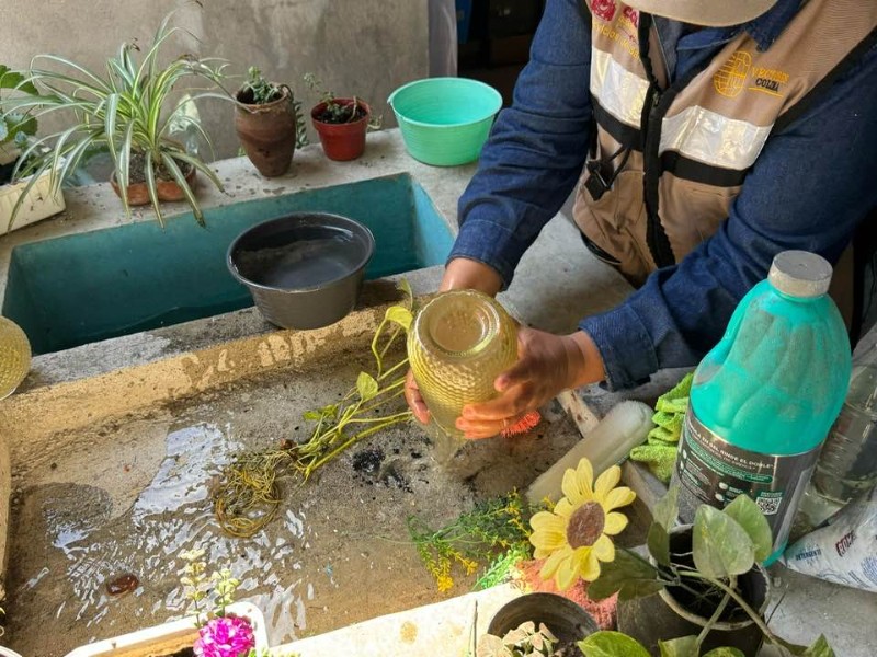 Ante casos probables de dengue, intensificarán control larvario en Tecomán