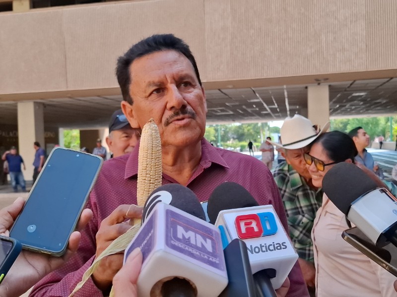 Ante crisis, productores de maíz piden apoyos para el campo