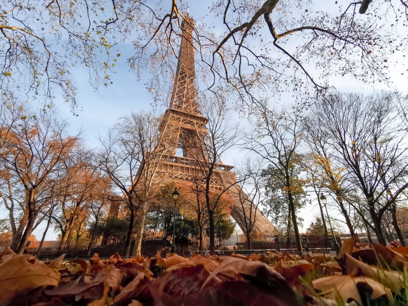 Ante desconfinamiento sanitario en Francia, Torre Eiffel reabre sus puertas