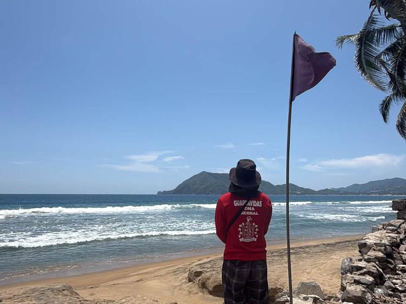 Ante presencia de cocodrilos, colocan banderas moradas en playas de Manzanillo