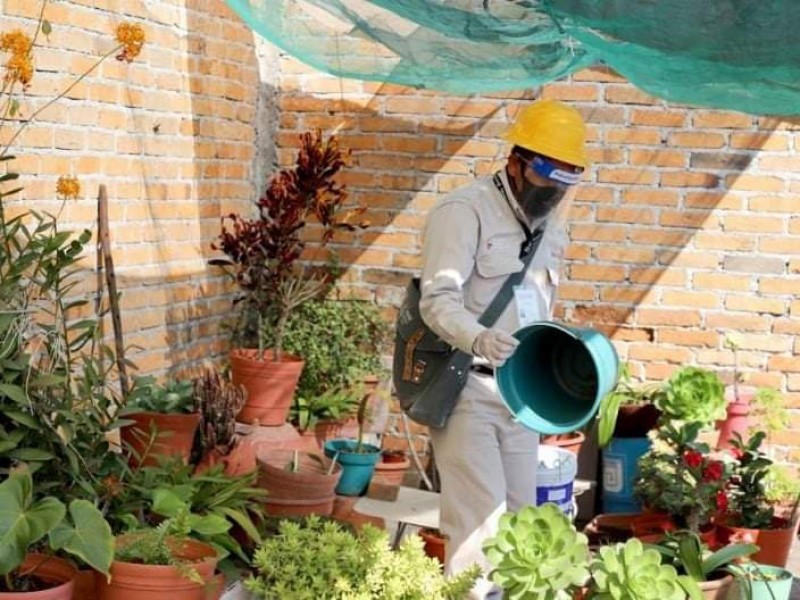 Ante riesgo epidemiológico, refuerza Jacona acciones preventivas contra el dengue