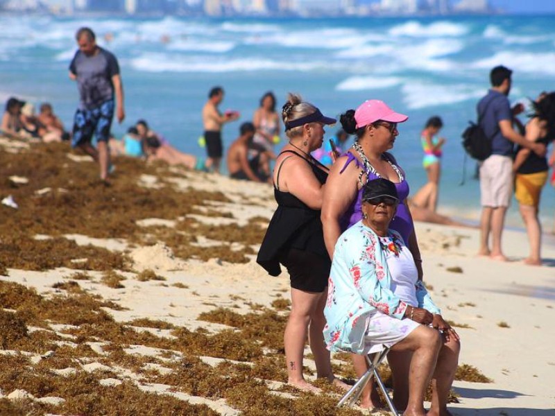 Alerta en el Caribe mexicano por toneladas de Sargazo