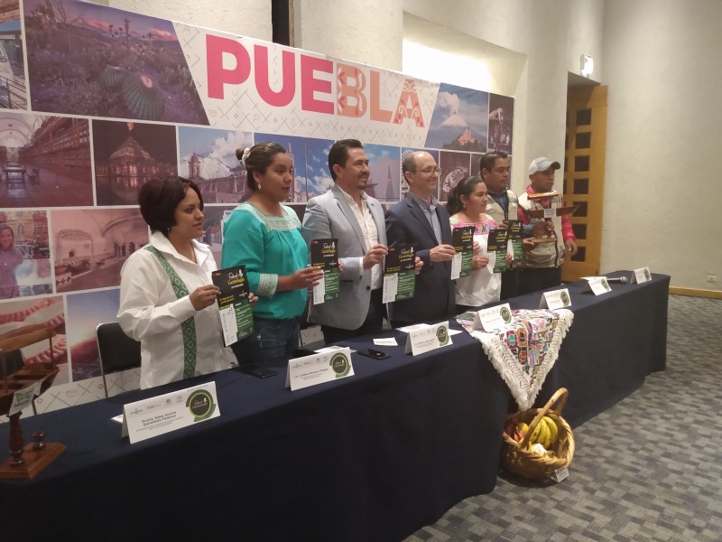Anuncian 1er Festival de Luciérnagas en Tlatlauquitepec-Pueblo Mágico