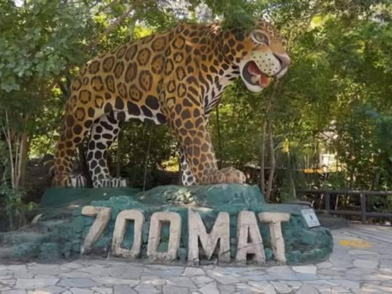 Anuncian acceso gratuito y descuentos para ingresar al ZOOMAT