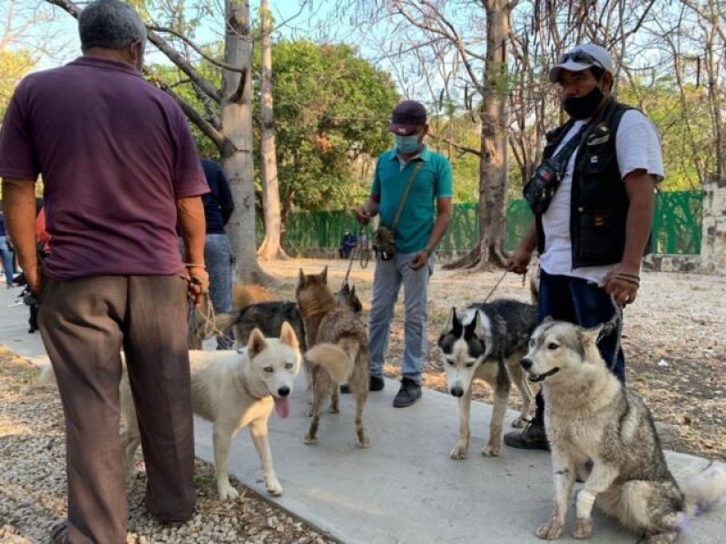 Anuncian campaña de vacunación antirrábica canina y felina en TGZ