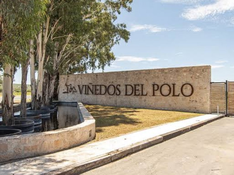 Anuncian construcción de hotel en Viñedos del Polo