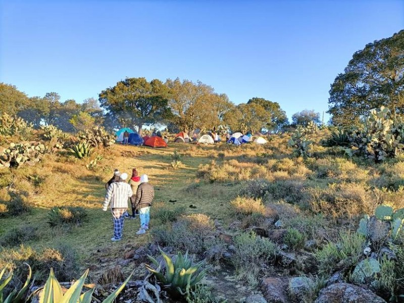 Anuncian forestación masiva en Sierra de Lobos este mes