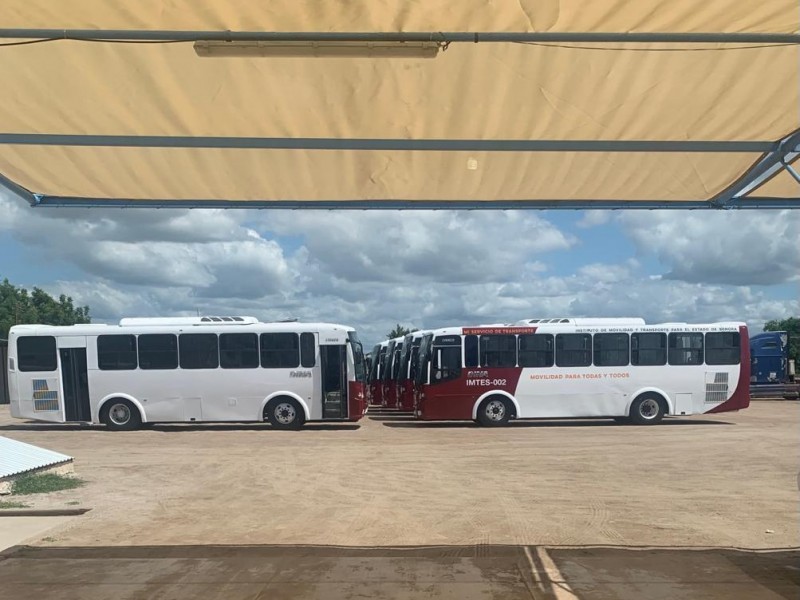 Anuncian modernización del Transporte en Navojoa, ya hay 10 unidades