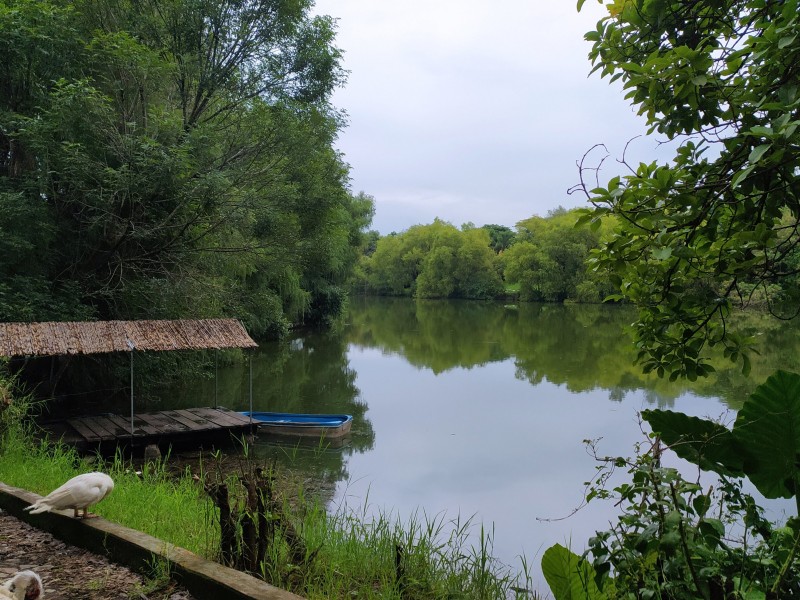 Anuncian obras en el parque ecológico