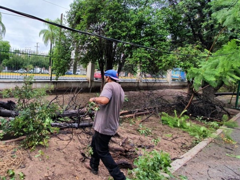 Anuncian paquete de obras 2026 para Lerdo con parques y pavimentación
