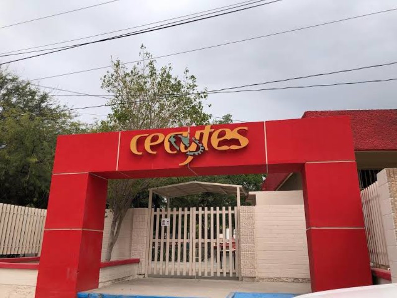 Anuncian proceso de inscripción para alumnos de nuevo ingreso en Cecytes