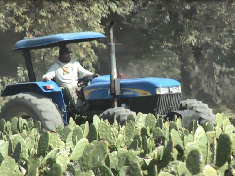 Anuncian respaldo financiero para el agro guanajuatense