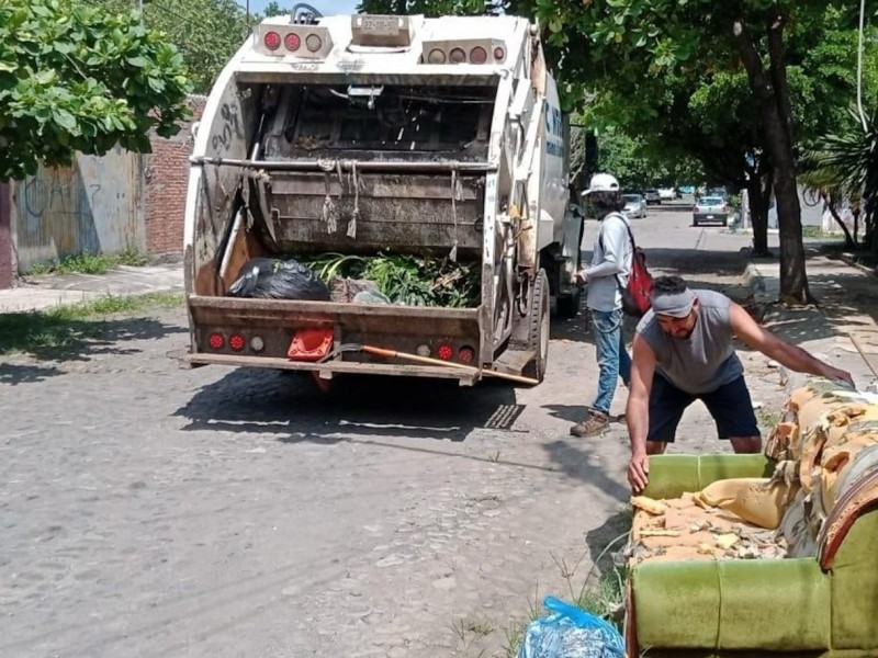 Anuncian rutas de recolección de ramas en Colima