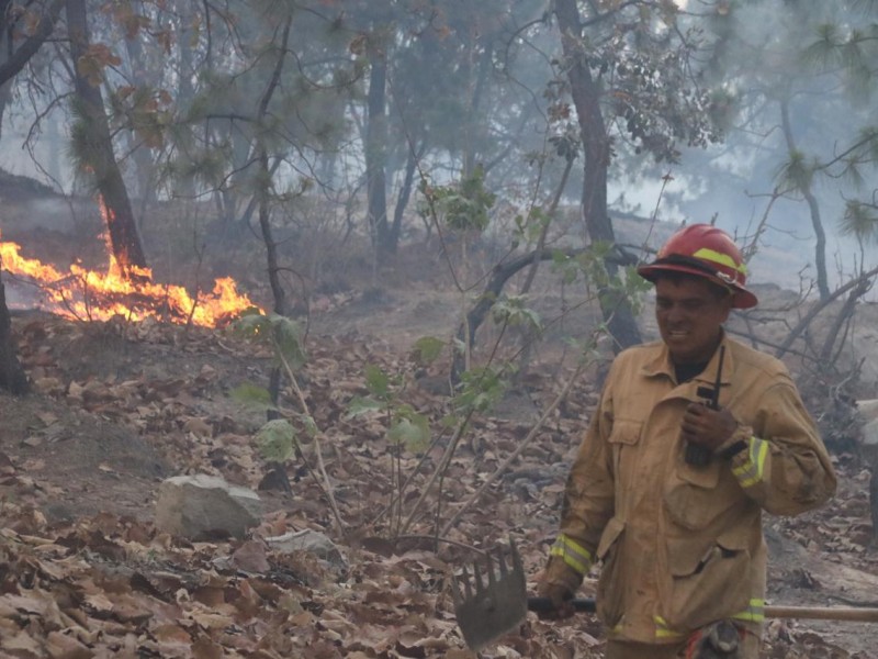 Apagan incendio en La Primavera