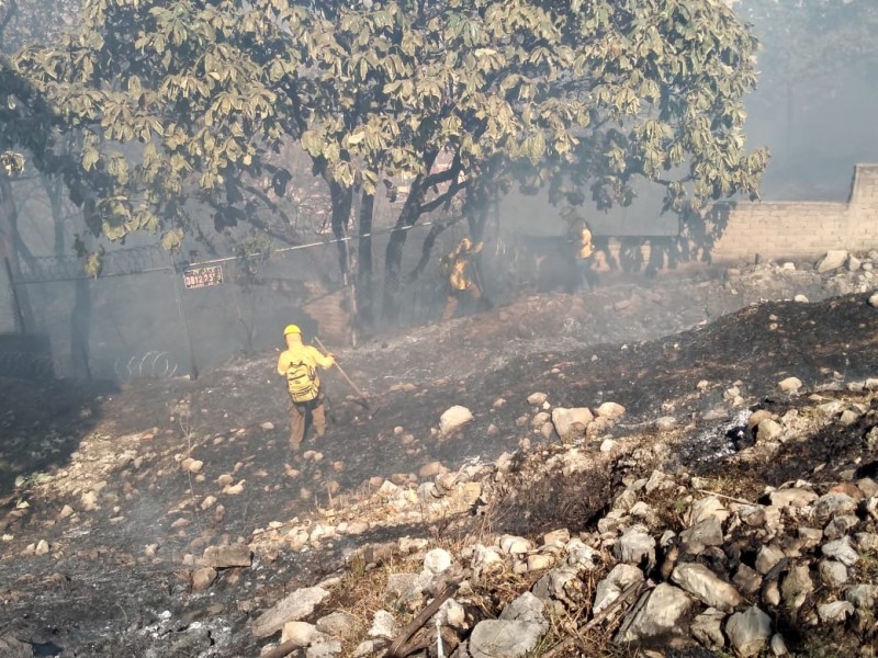 Apagan incendios en La Primavera