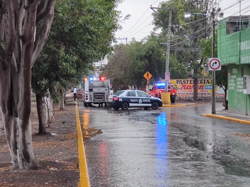 Apagones, caída de árboles, cortos circuitos tras lluvia en Tehuacán