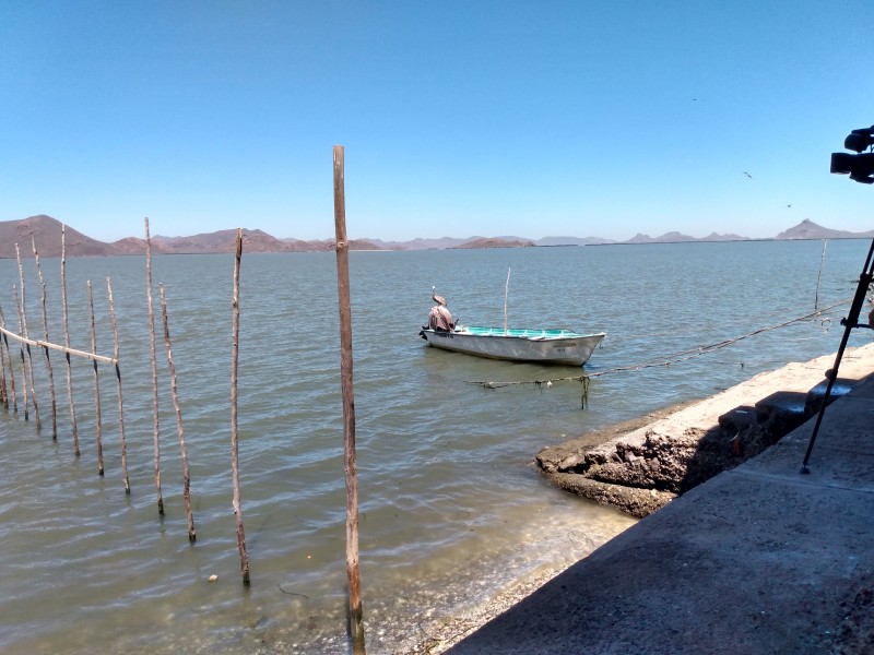 Apenas subsisten pescadores, entre poca captura y sin apoyo