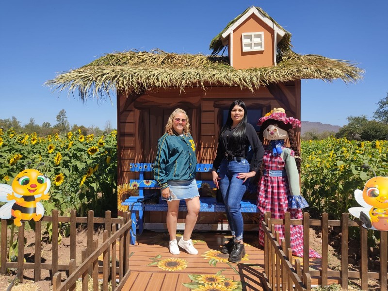 Apertura del campo de girasoles de Mocorito atrae turismo extranjero