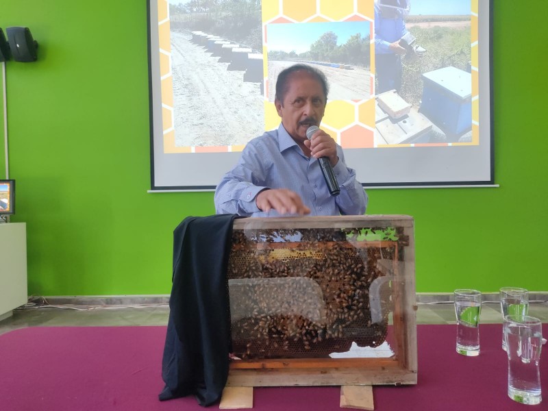 Apicultores promueven cuidado de abejas para proceso de polinización