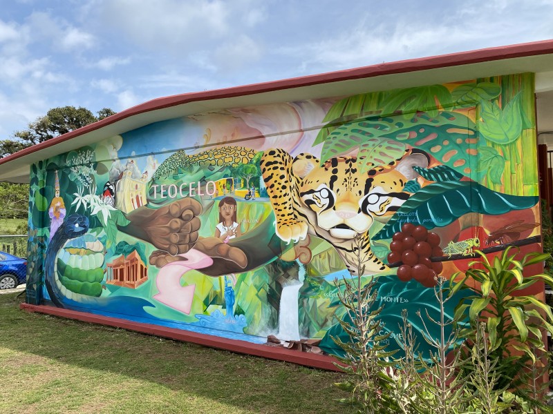 ¡Aplausos! Este mural destaca lengua de señas en Teocelo