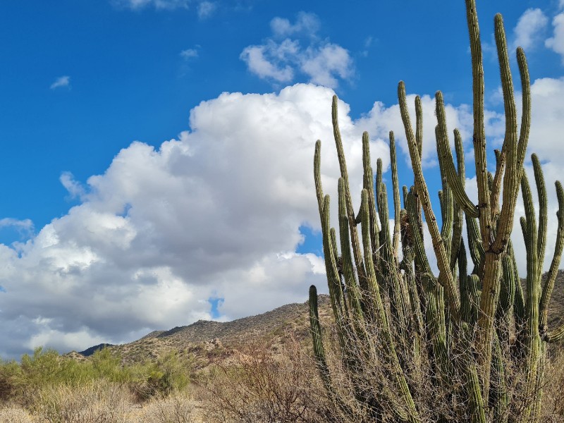 Aplazan inducción de nubes en Sonora por falta de condiciones