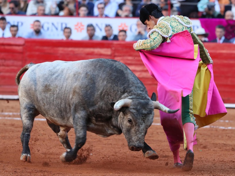 Aplazan posible suspensión de corridas de toros en CDMX