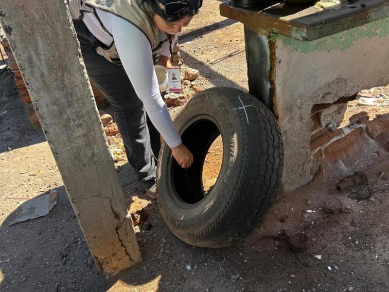 Aplican acciones contra el dengue y la rickettsia