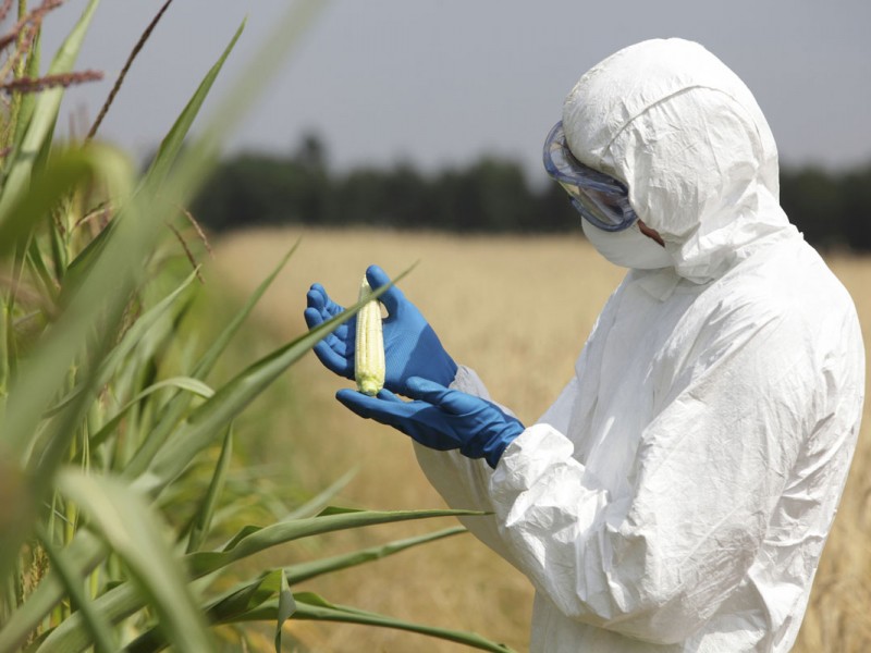 Aplican programas de inocuidad alimentaria