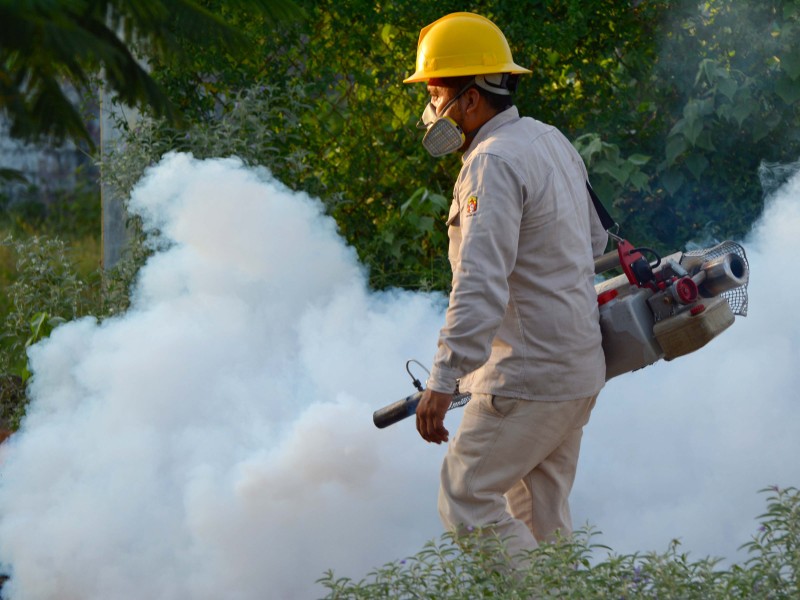 Aplicaron insecticida caducada en programa contra dengue en Oaxaca