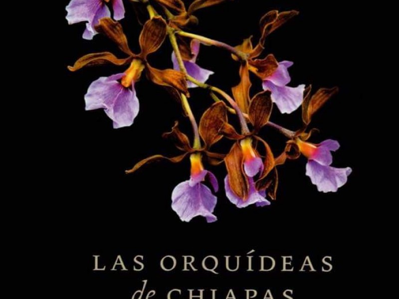 Aporta UNICACH libro sobre Orquídeas de Chiapas
