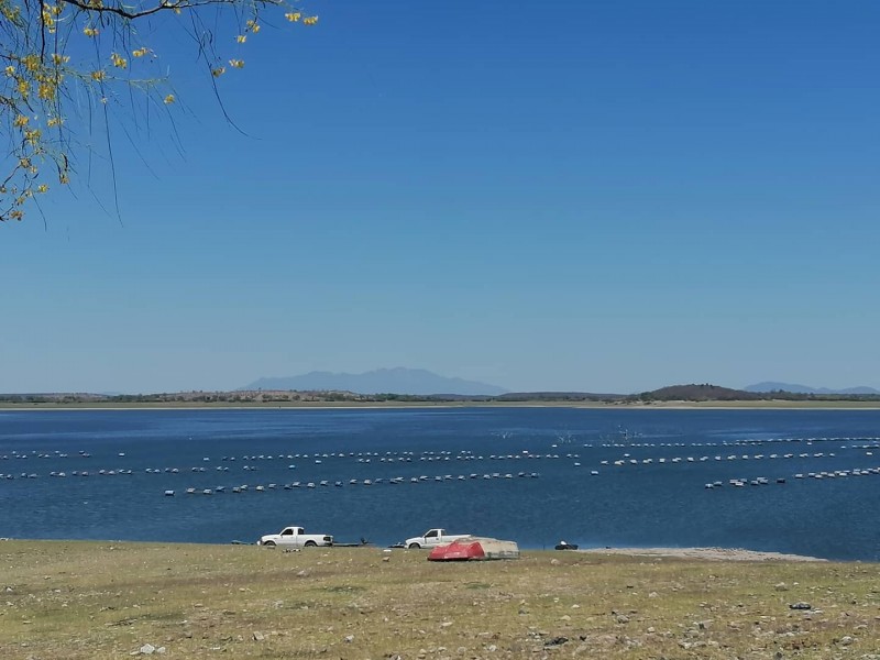 Aportaciones continúan en el Sistema Presas Río Fuerte