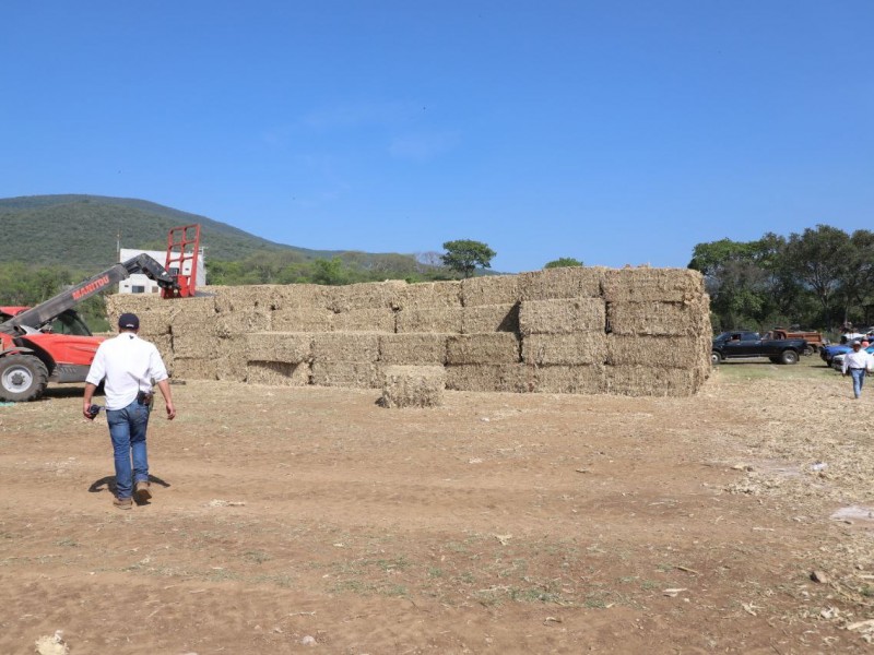 Apoyan al campo Queretano