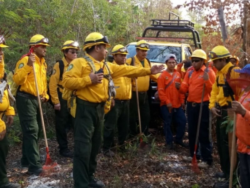 Apoyan combatientes chiapanecos en control de incendio