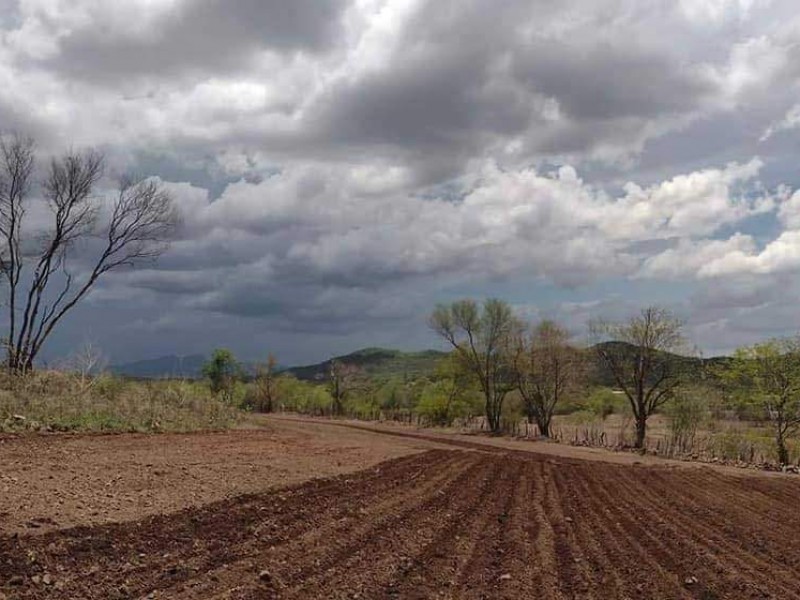 Apoyarán con seguro catastrófico a productores de temporal