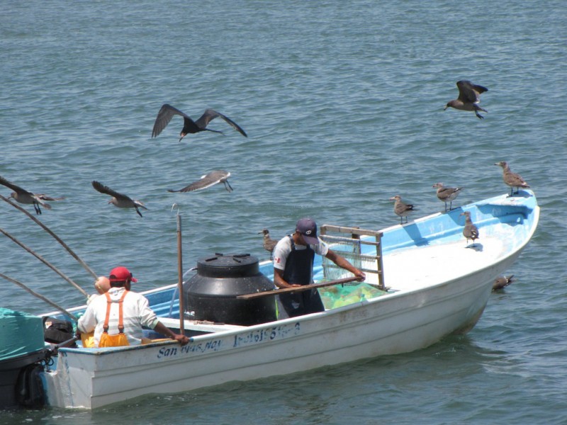 Apoyo para pescadores afectados por Roslyn nunca llegó