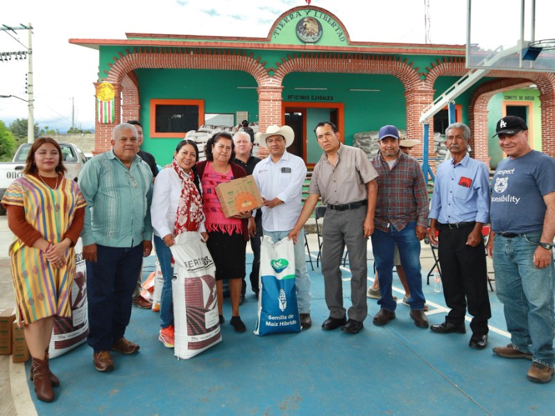 Apoyos agrícolas fortalecen producción en Arrazola